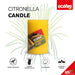 Ecofire, Citronella Candle, 15.94 OZ, Pack of 1